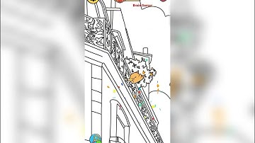 Find Chicken Rage-Spot It level 13 gameplay walkthrough solution 