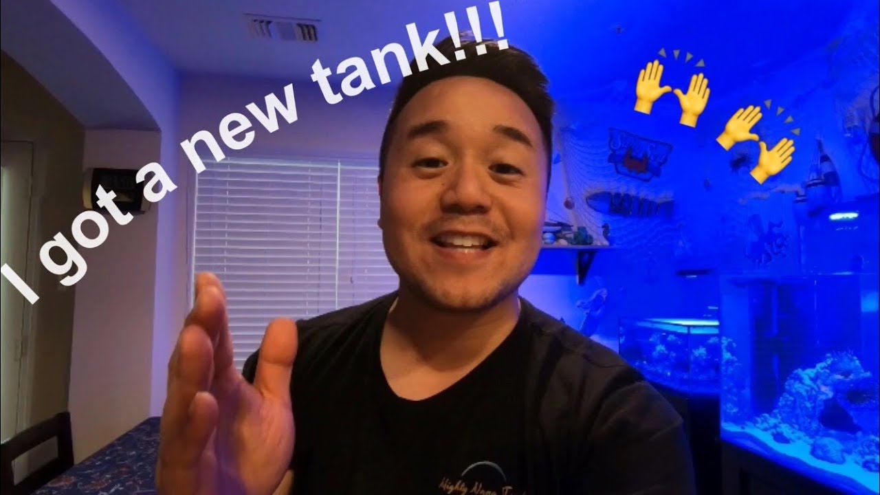 bubble tip an enemy I GOT A 60G CUBE TANK!!! And hanging with InappropriateReefer!