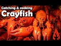 Catching and cooking crayfish!