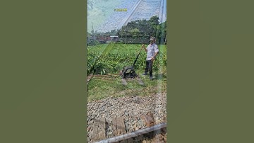 Manual track switching by hand #ytshorts #railwayjourney #station #shorts #viralvideo #train