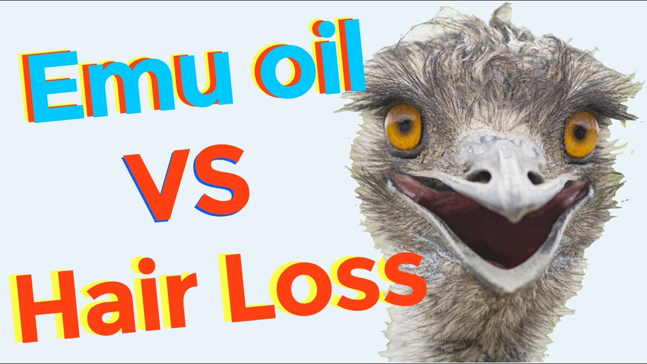 How to use emu oil for hair growth and hair loss ...