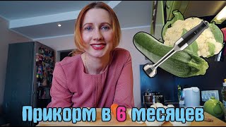 Первый прикорм малыша в 6 месяцев / Овощи как прикорм