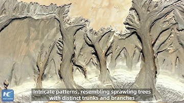 Breathtaking "tidal tree" patterns appear along Yangtze River