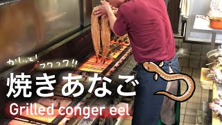 【Japanese Food】職人が直火で焼き上げるあなご！絶品。【Grilled conger eel】