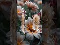 قد اشرق نورك في قلبي مقاطع ديني سر النجاح اذكرو الله Flowers اكسبلور قد اشرق نورك في قلبي مقاطع ديني سر النجاح اذكرو الله Flowers اكسبلور