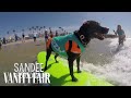 The worlds only dog surfing competition