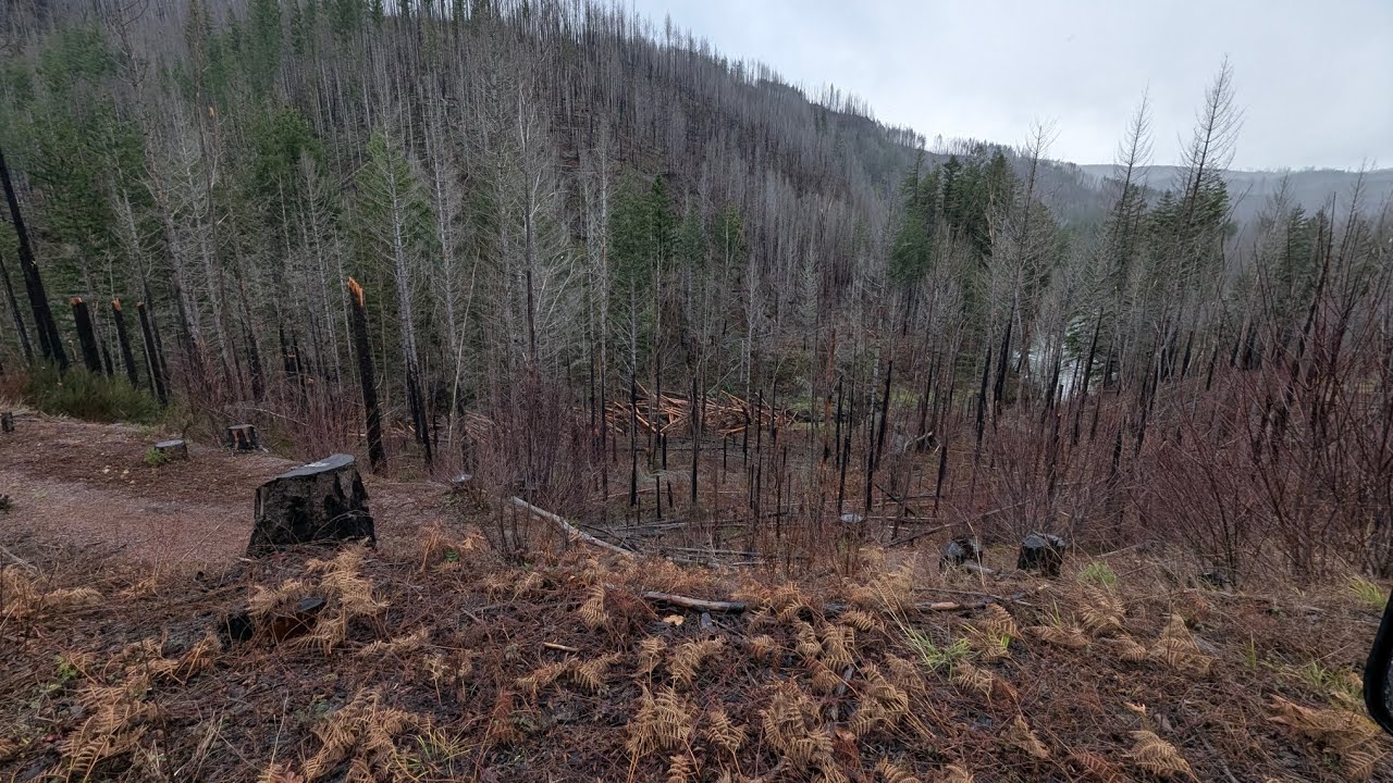 The olalla sportsman property 