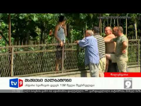 ახალი 9 | უხუცესი ქალბატონი | 08.07.12