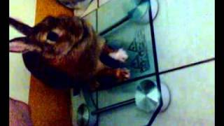 20090605 2