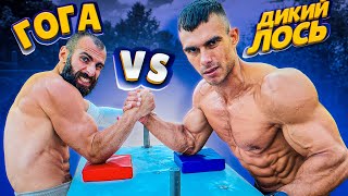 картинка: ДИКИЙ ЛОСЬ ПРОТИВ ГОГИ / АРМРЕСТЛИНГ
