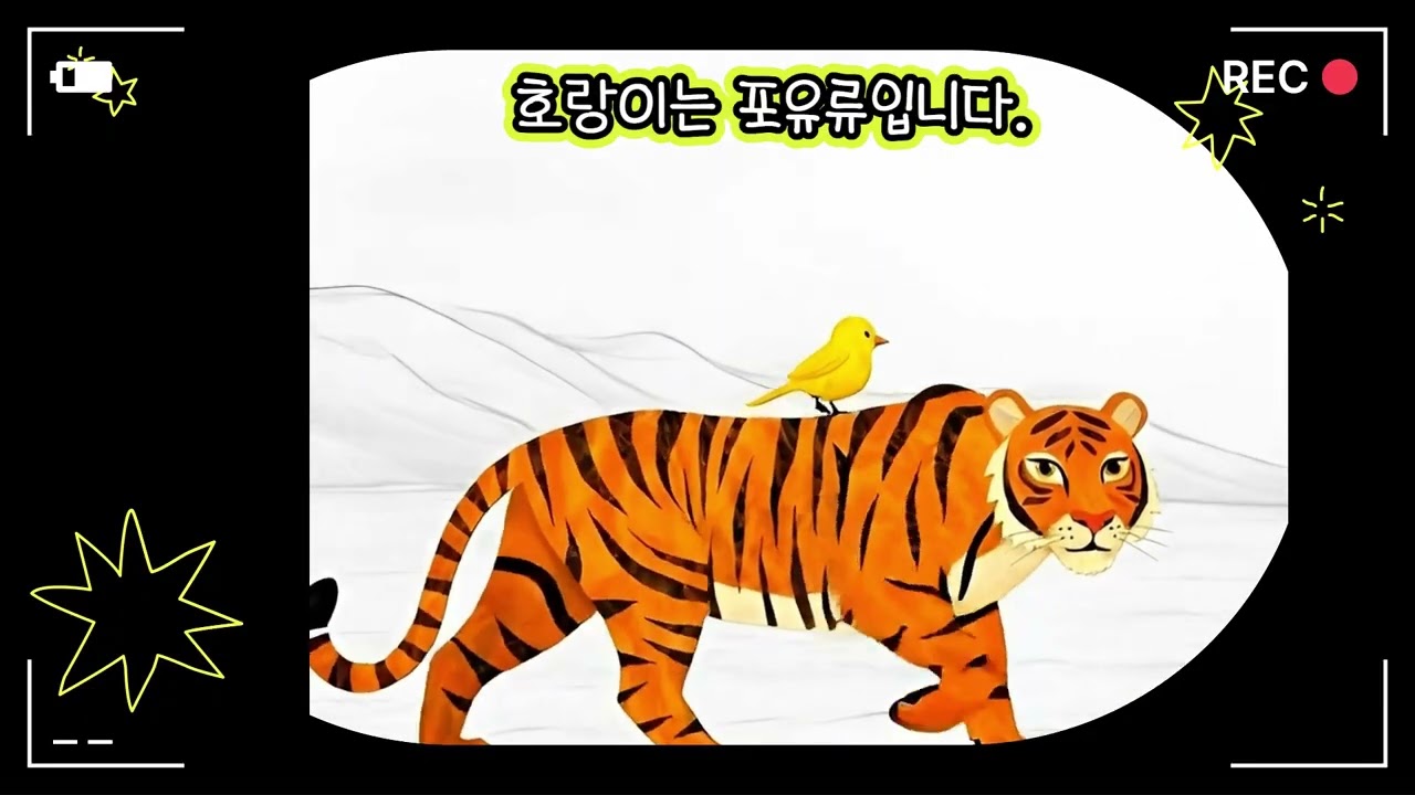 A tiger is a mammal | Angel-books | Art, Music & Stories for Young Dreamers | 아이들의 상상력을 키우는 예술 동화