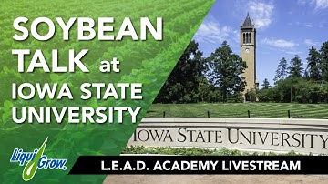 Soybeans: The Little Things that Make Big Bushels