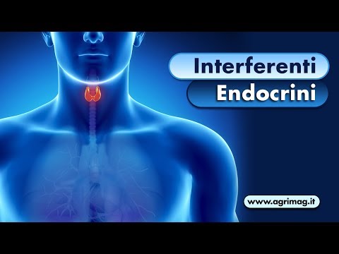 Video: Differenza Tra Insetticidi E Pesticidi