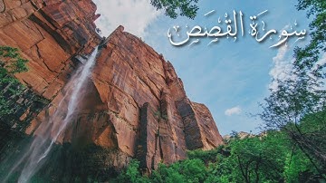 سورة القصص | القارىء هيثم الدخين | #ارح_قلبك #قران_كريم 🕊