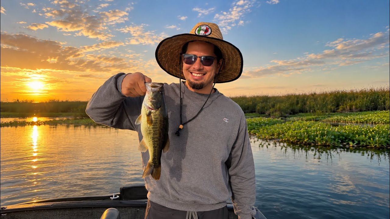 A Quiet Day Fishing the Delta | POV Bass Fishing