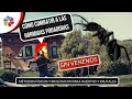 🐜 HORMIGAS PODADORAS (cómo combatirlas SIN VENENOS) | aplicando PERMACULTURA