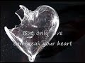 Download Lagu Neil Young - Only love can break your heart (lyrics on clip)