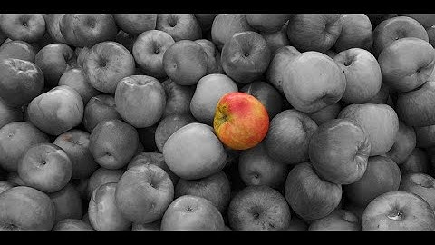 Anomaly Algorithms Compared