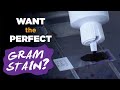 How to prepare the perfect gram stain  gram staining procedure