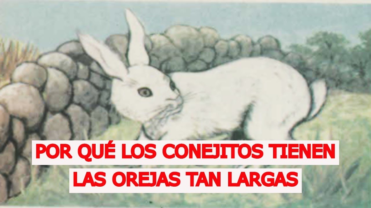 Cuento "Por qué los conejitos tiene las orejas tan largas" Un simpático