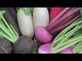 2011 Autumn &amp; Winter -Moldau-