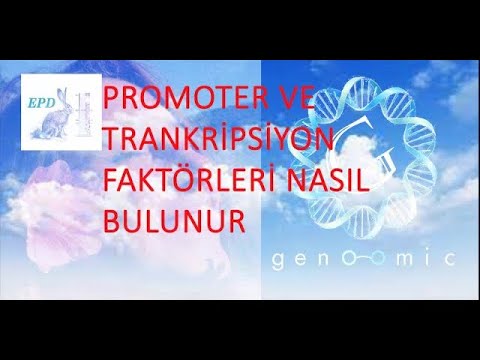 Video: Her genin bir promotörü var mı?