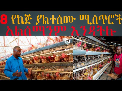 ቪዲዮ: እንኳን ደስ አለሽ እናት አዲስ የተወለደ ወንድ ልጅ። ለዚህ ክስተት ምን መስጠት አለበት?