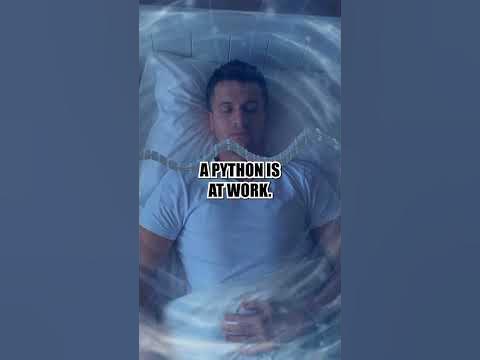 𝐃𝐄𝐅𝐄𝐀𝐓𝐈𝐍𝐆 𝐓𝐇𝐄 𝐏𝐘𝐓𝐇𝐎𝐍 𝐒𝐏𝐈𝐑𝐈𝐓 🐍 #YouTubeShorts #Viral #FYP #Python #Demon ...