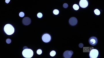 Studio - Bokeh jiggling in the wind