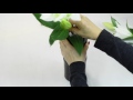 Ikebana Tips by Junko #10: alternatives to kenzan pin-holders pt 3