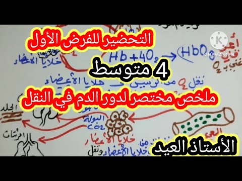 ملخص دور الدم التحضير للفرص الأول 4 متوسط