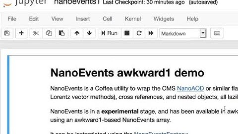 PyHEP 2020 Nanoevents Demo