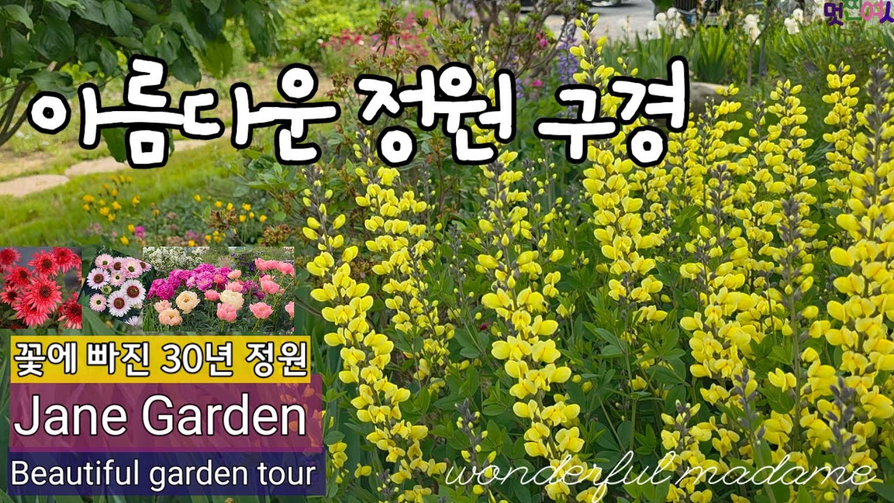 30년 정원지기가 추천하는 진귀한 야생화 15종 /자연주의 정원의 식재방법/아름다운 산나물 꽃들!