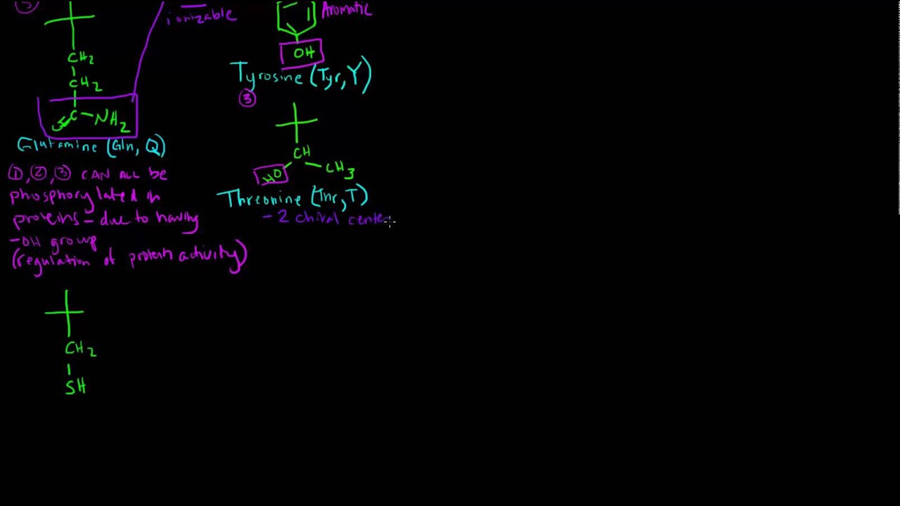 Amino Acids (Part 3 of 5) - Polar Amino Acids