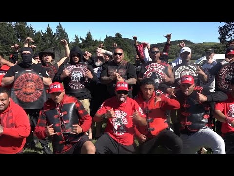 A day with the Mongrel Mob  #VLOG