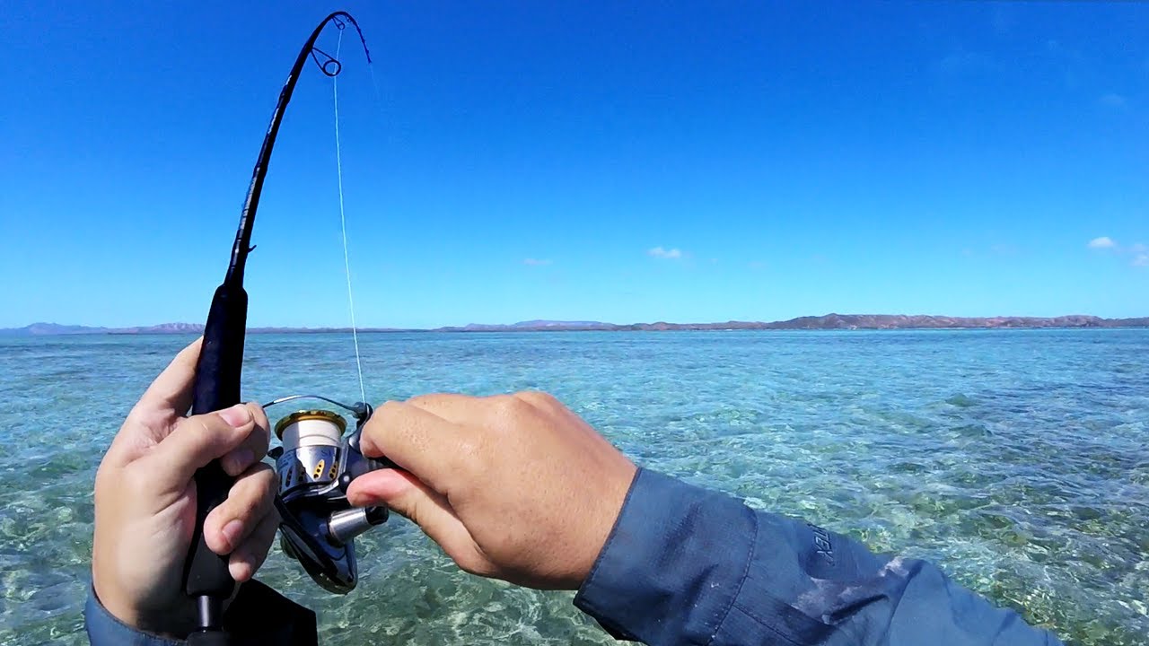 Ultra light fishing - flats of New Caledonia