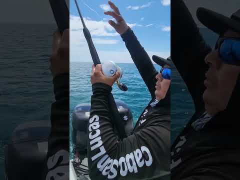 Part1 Using Downrigger