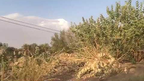 دحيم الحماد ١٤٤١هـ حصن نفسك بتلاوة آخر سورة البقرة