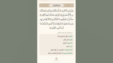 السراج في بيان غريب القران سورة المطففين 2 تلاوة الشيخ سعد الغامدي