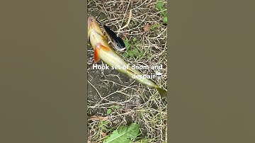 Hook set of doom and despair