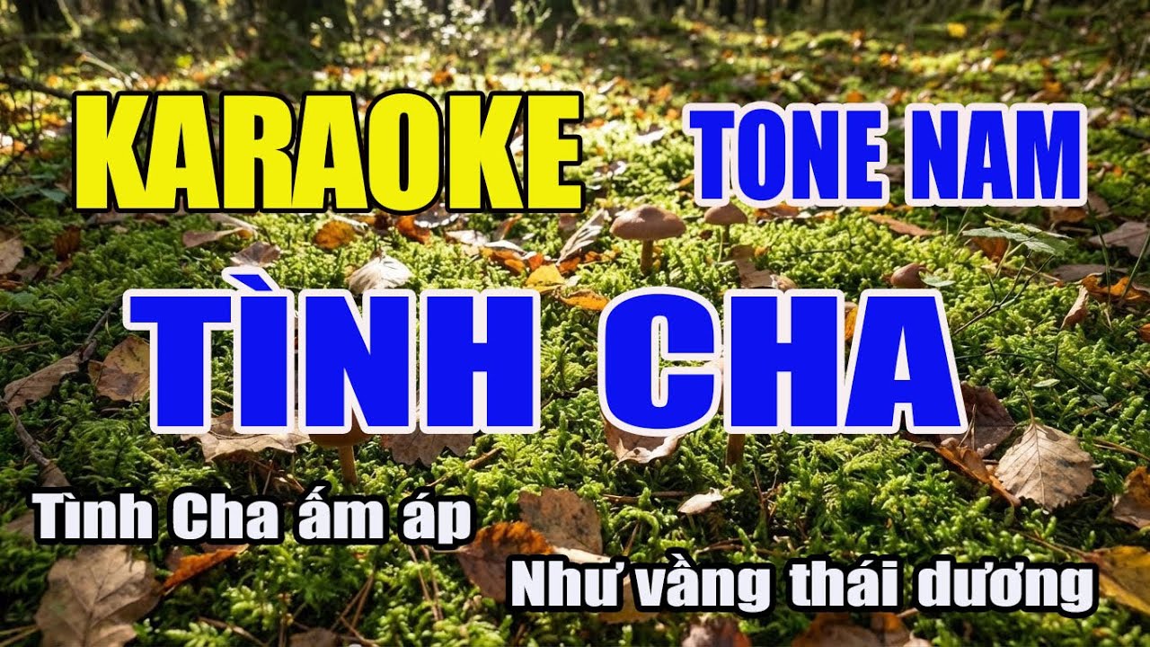KARAOKE TÌNH CHA TONE NAM || HÁT LÀ PHÊ