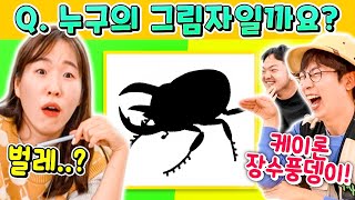 이걸 다 맞힌다고?! 곤충 박사들과 함께하는 극악 난이도 퀴즈 대결ㅋㅋㅋ 승자는 누구!? (@eggbugs 콜라보)