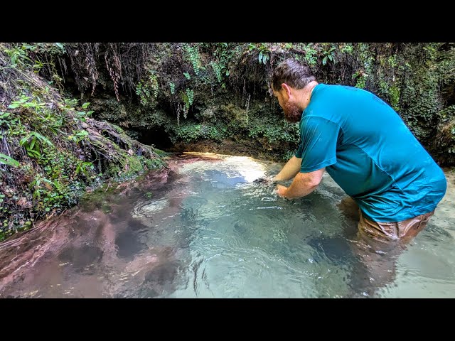 Discovering Hidden Springs and Caves in Deep South Alabama