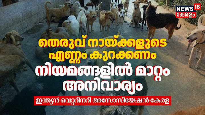 Stray Dogs എണ്ണം കുറക്കണം, നിയമങ്ങളിൽ മാറ്റം അനിവാര്യം: Indian Veterinary Association Kerala | N18V