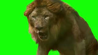 ANIMALS ON GREEN SCREEN! #greenscreen @VfxKarki_ @vfxhd @vfxnaveed @GSA @GreenScreenBrasil