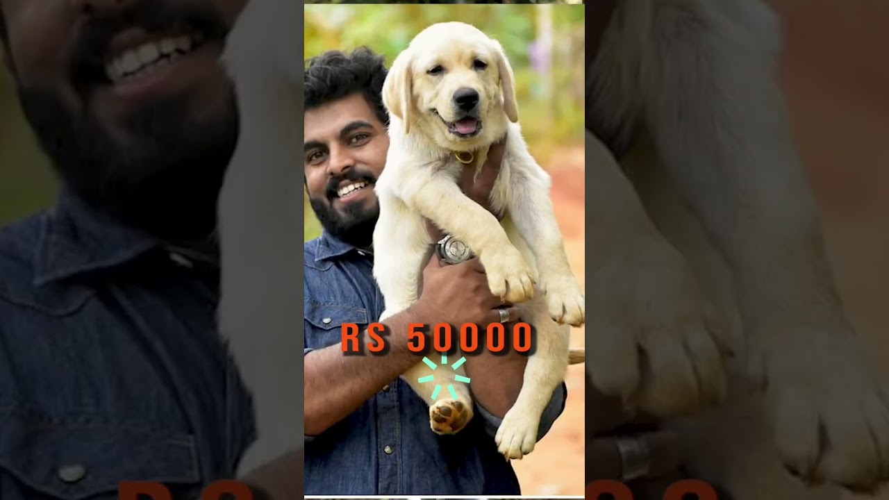 ചതി കൊടും ചതി 😬