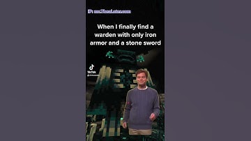 IP: mc.TheaLater.com #minecraft #smp #minecraftserver