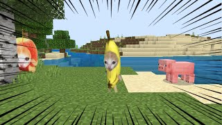 バナナ猫がマイクラにやってきた【総集編】