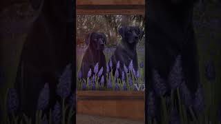 aor april wipe pt5