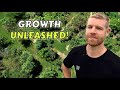 Inspiring Food Forest Tour - Turning a Grass Paddock into an Edible Oasis!